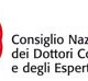 Logo CNDCEC - Consiglio Nazionale dei Dottori Commercialisti e degli Esperti Contabili